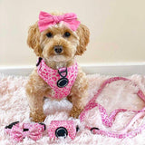 pretty girl dog accessories