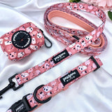 Cute dog leads and collars sets up with designer patters