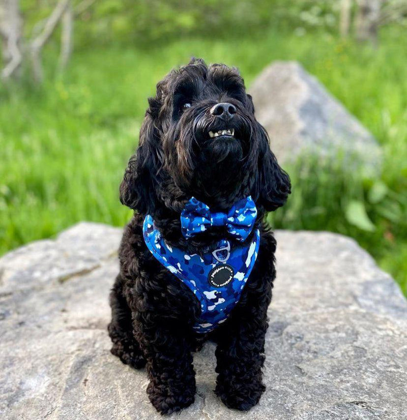 Trendy dog bow tie with a cool blue camouflage design, easily attaches to collars with velcro strap