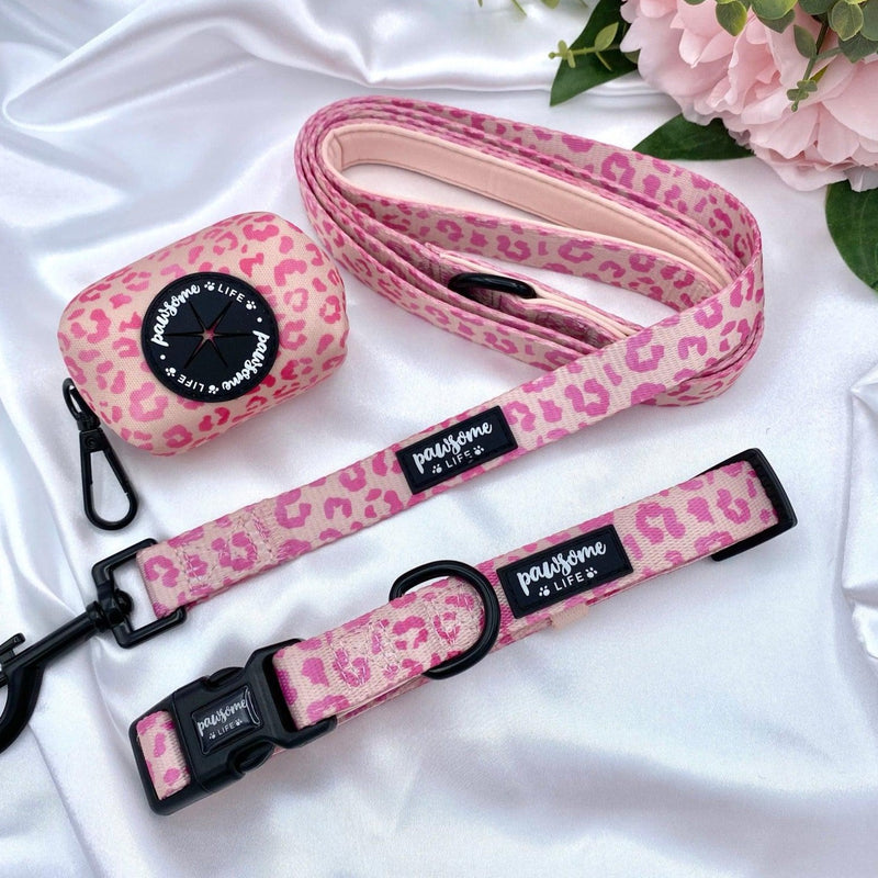 Cute dog leads and collars sets up with designer patters