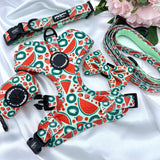 Stylish and functional dog collar showcasing a playful watermelon print and quick-release fastening