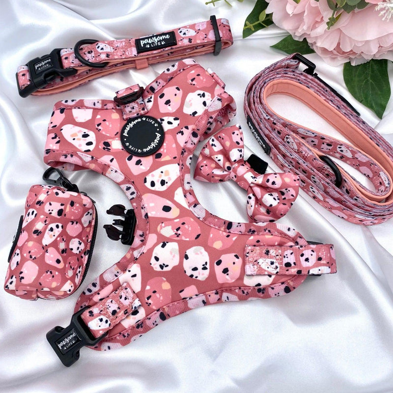 Adjustable cute dog collars uk with designer patterns for puppy and small to medium dogs featuring quick release buckle