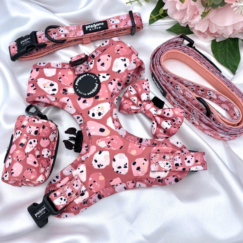 Cute dog leads and collars sets up with designer patters