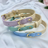 Cream and Blue Leather Dog Collar