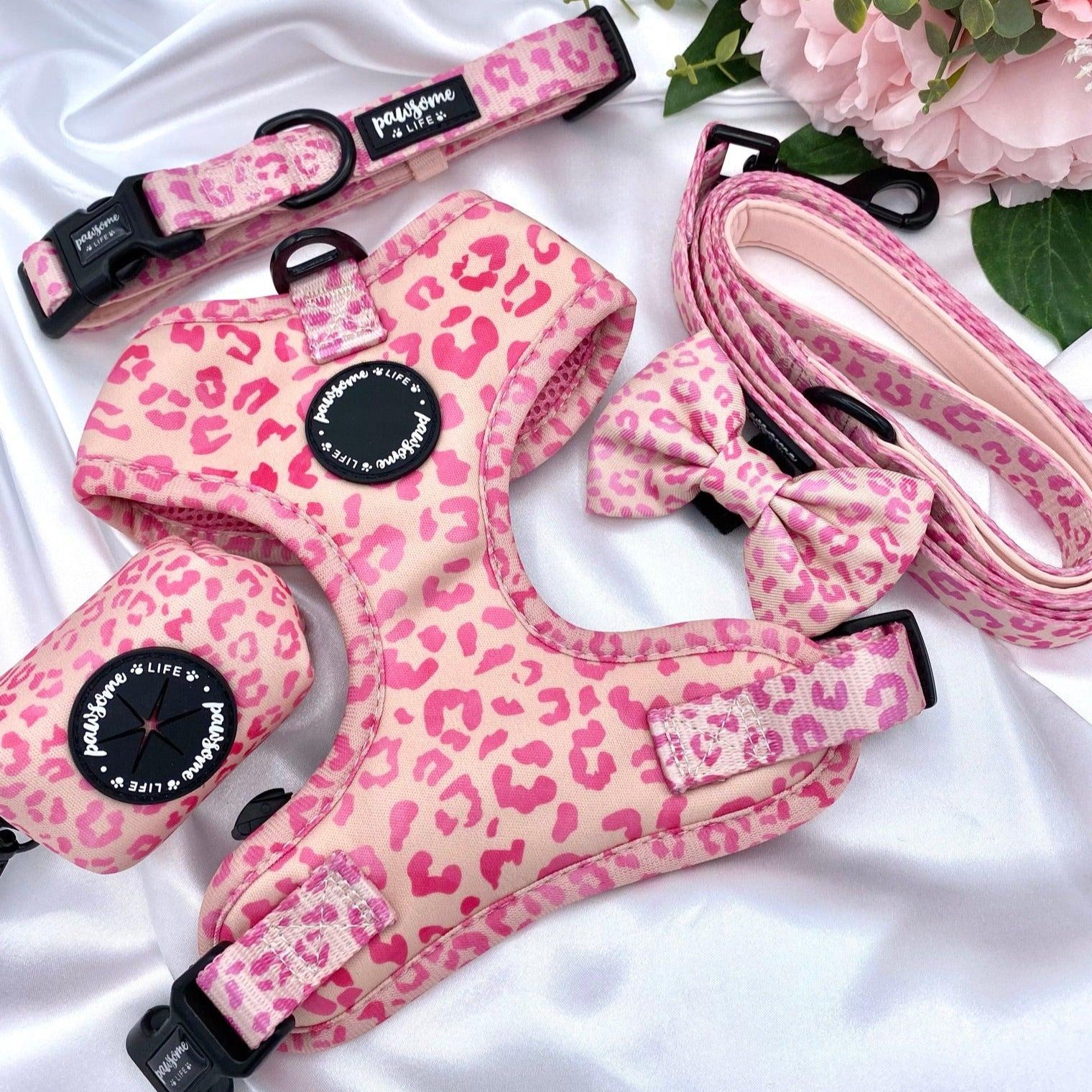Cute dog leads and collars sets up with designer patters