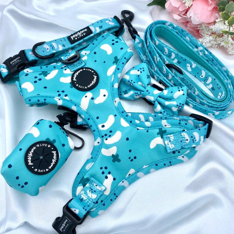 Cute dog leads and collars sets up with designer patters