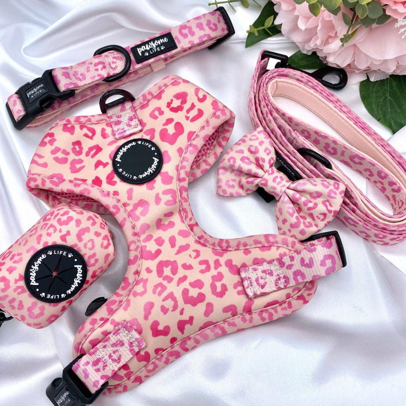 Adjustable cute dog collars uk with designer patterns for puppy and small to medium dogs featuring quick release buckle