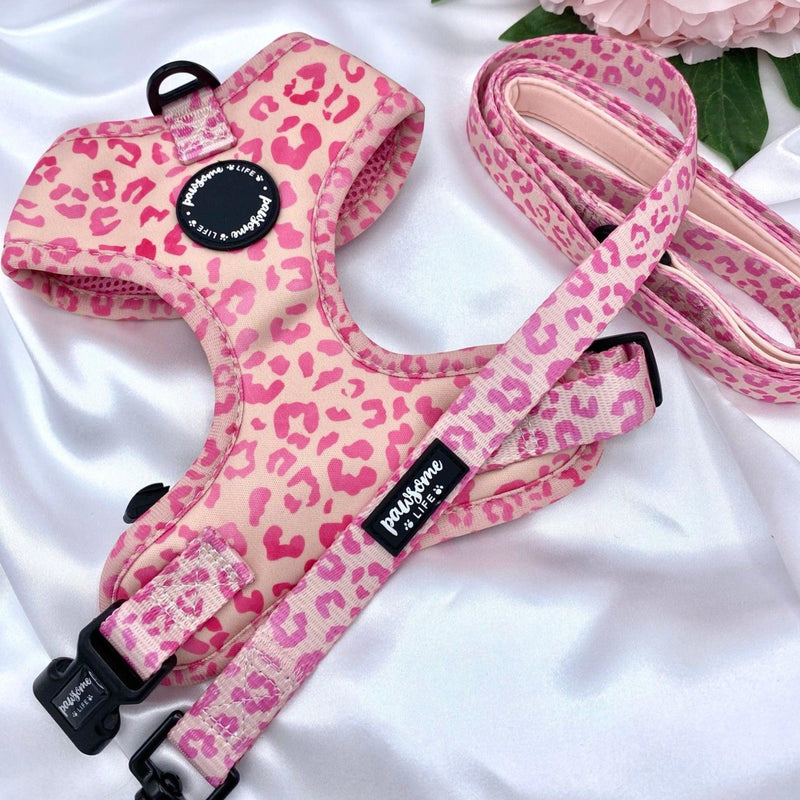 Adjustable cute dog harness with designer pattern for puppy and small to medium dogs featuring quick release buckle