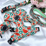 Chic and adjustable watermelon-print puppy harness, offering a perfect fit for growing pups