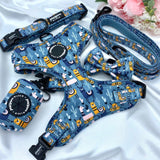 Cute dog leads and collars sets up with designer patters