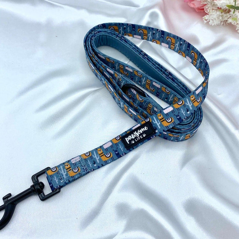 Cute dog leads and collars sets up with designer patters