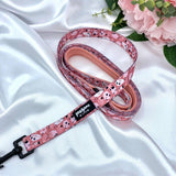 Cute dog leads and collars sets up with designer patters