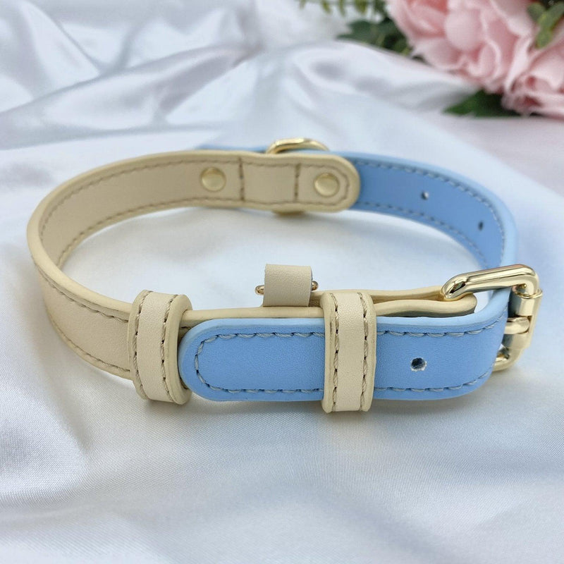 Cream and Blue Leather Dog Collar