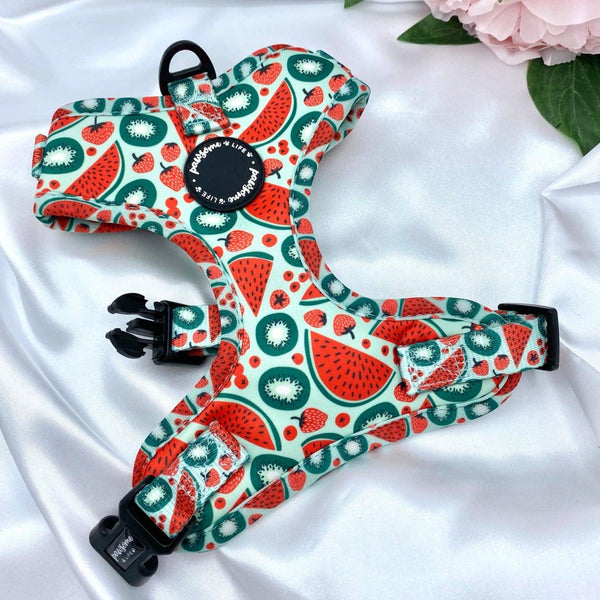 Cute no-pull dog harness with adjustable design, featuring a playful watermelon pattern