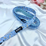 Cute dog leads and collars sets up with designer patters