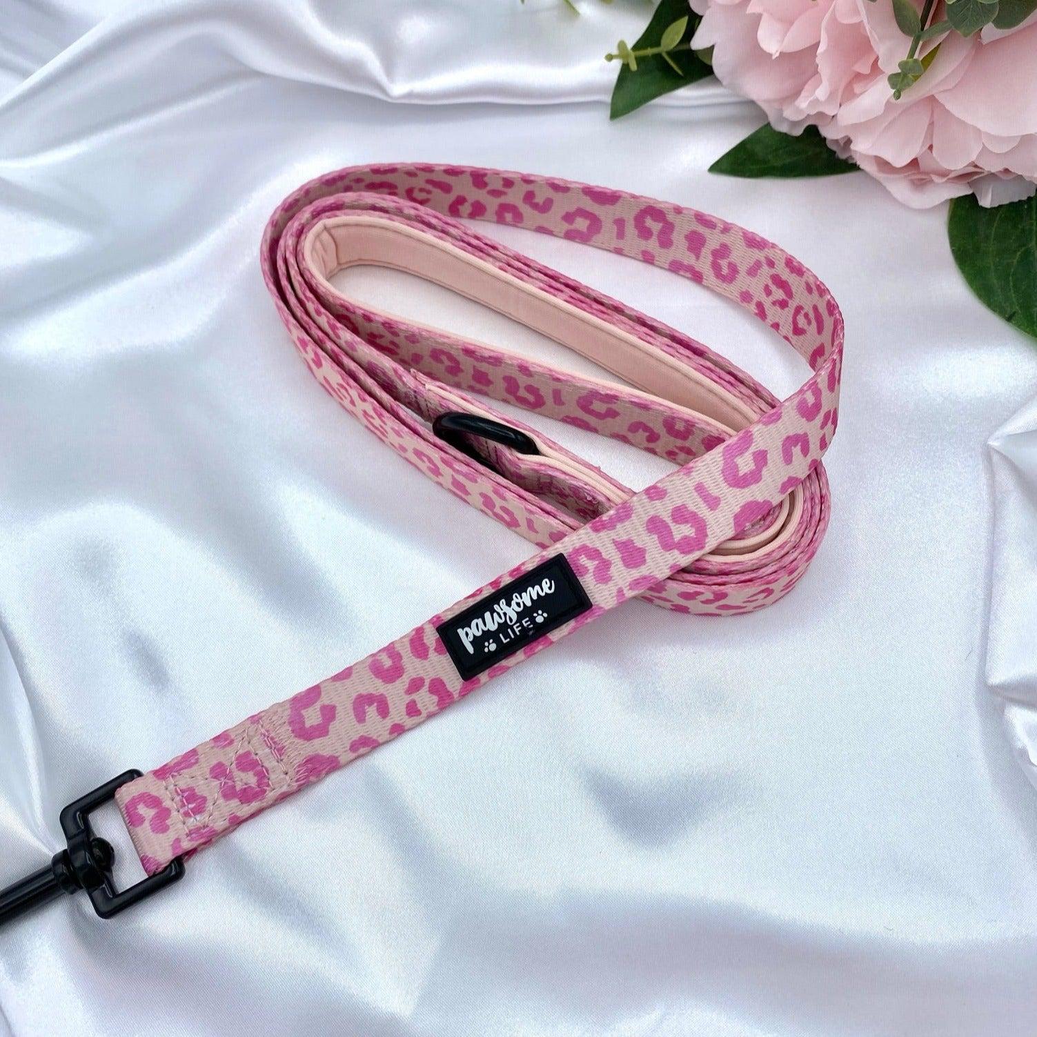 Cute dog leads and collars sets up with designer patters