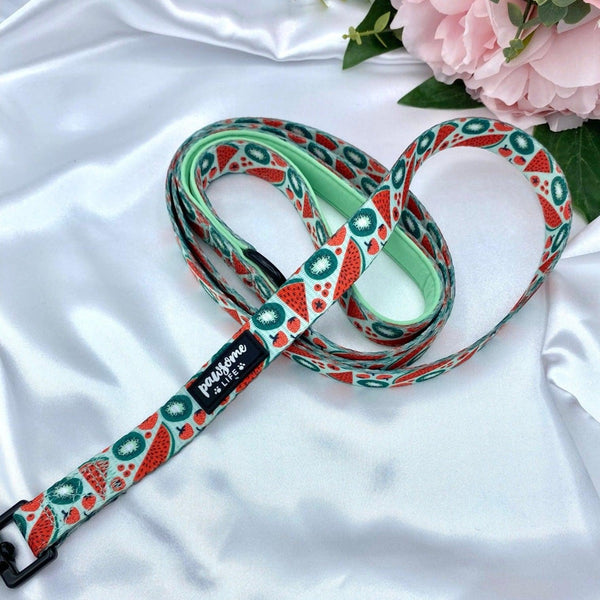 Cute dog leash featuring a vibrant watermelon pattern and secure golden clasp, perfect for stylish walks
